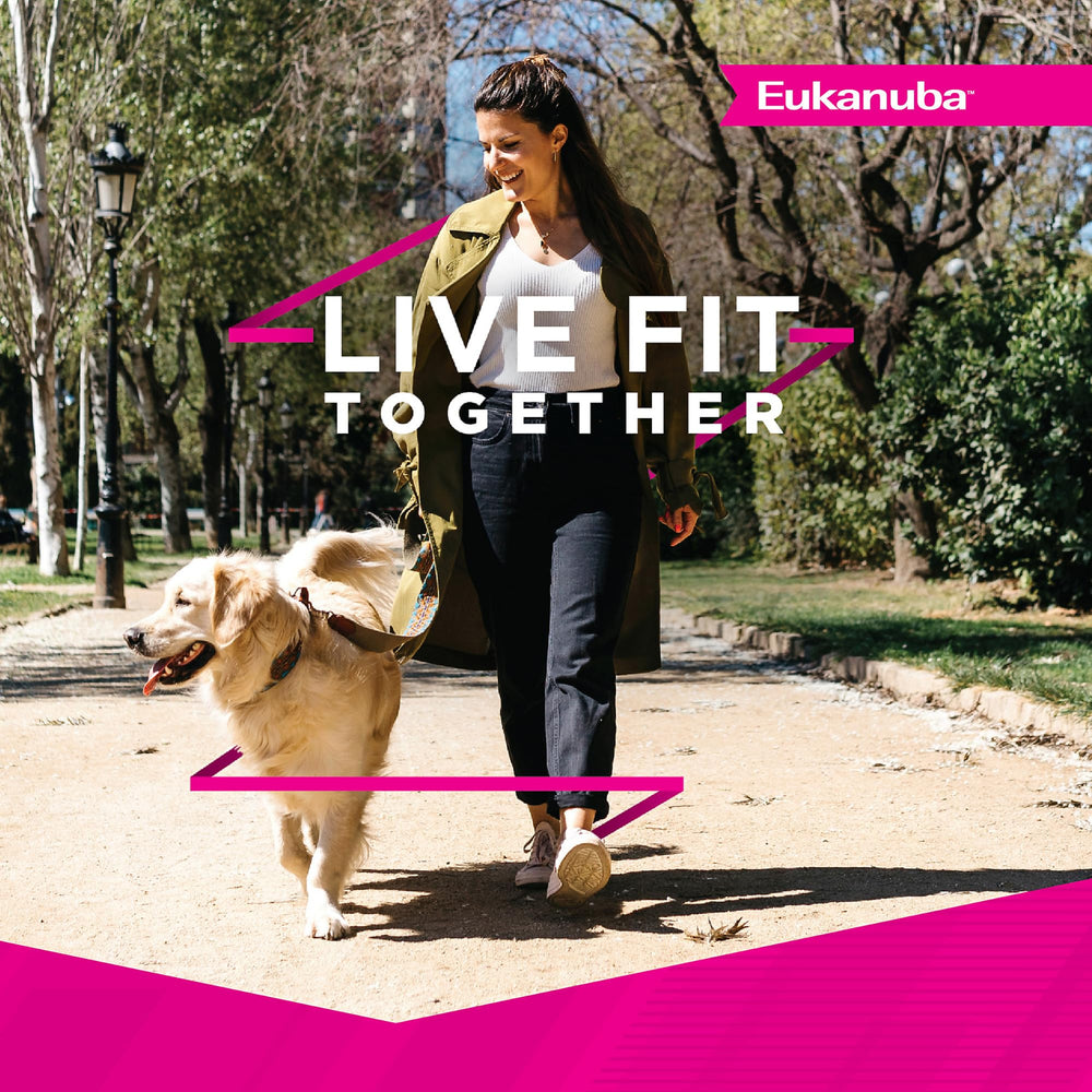 Eukanuba Fit Body Weight Control serving cups ready for mealtime
