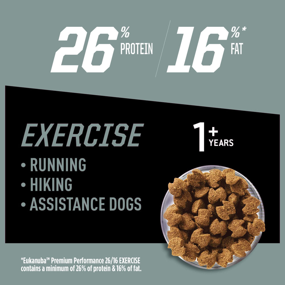 Eukanuba Premium Performance kibble closeup for protein-rich energy supporting active dogs