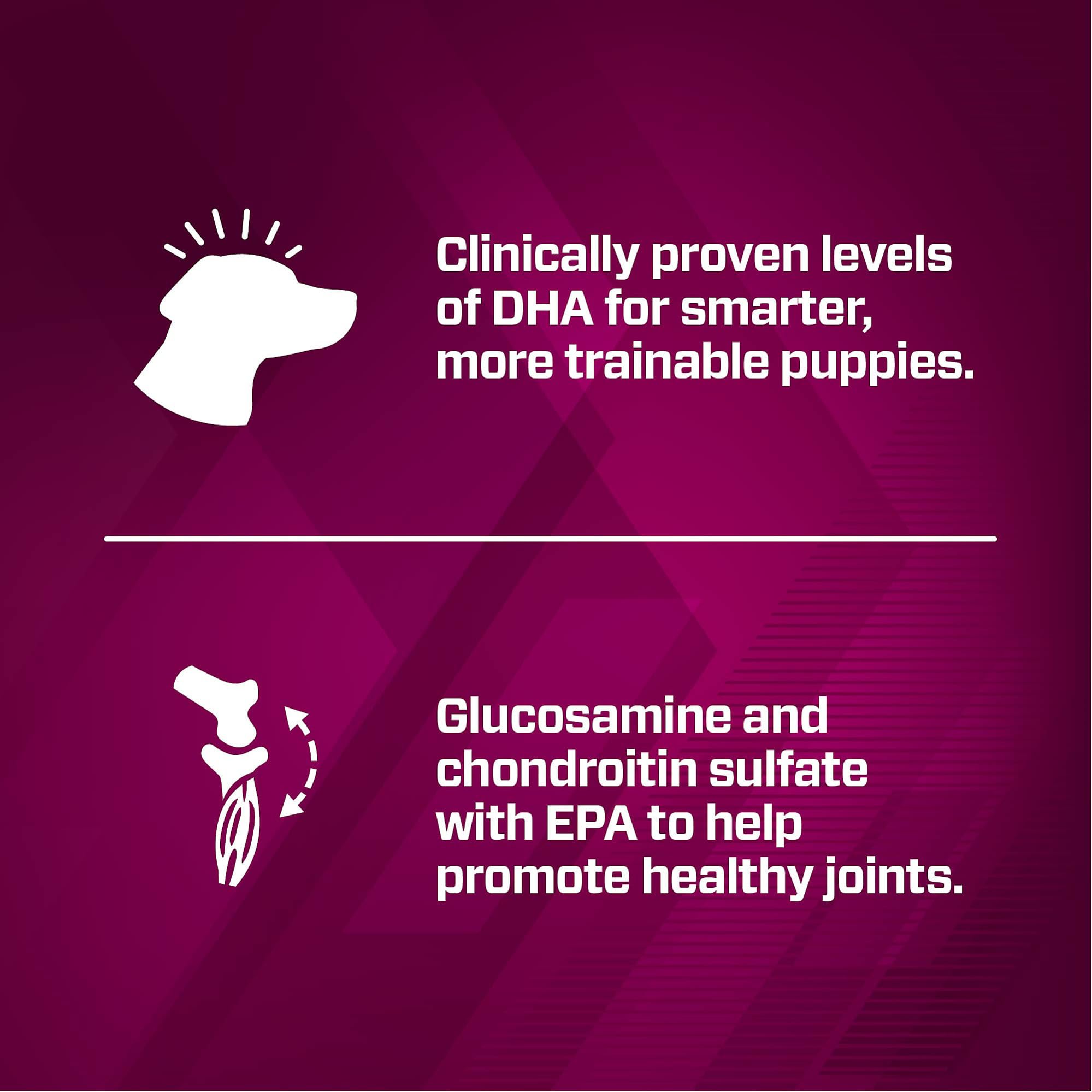 Meal featuring a fiber blend designed to support digestive health in puppies.