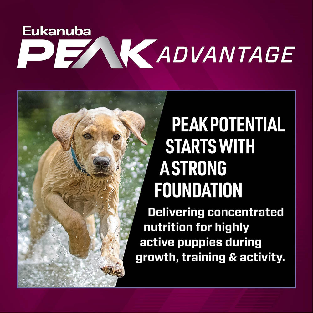 Serving bowl with Eukanuba Puppy Food ready for training or meals.