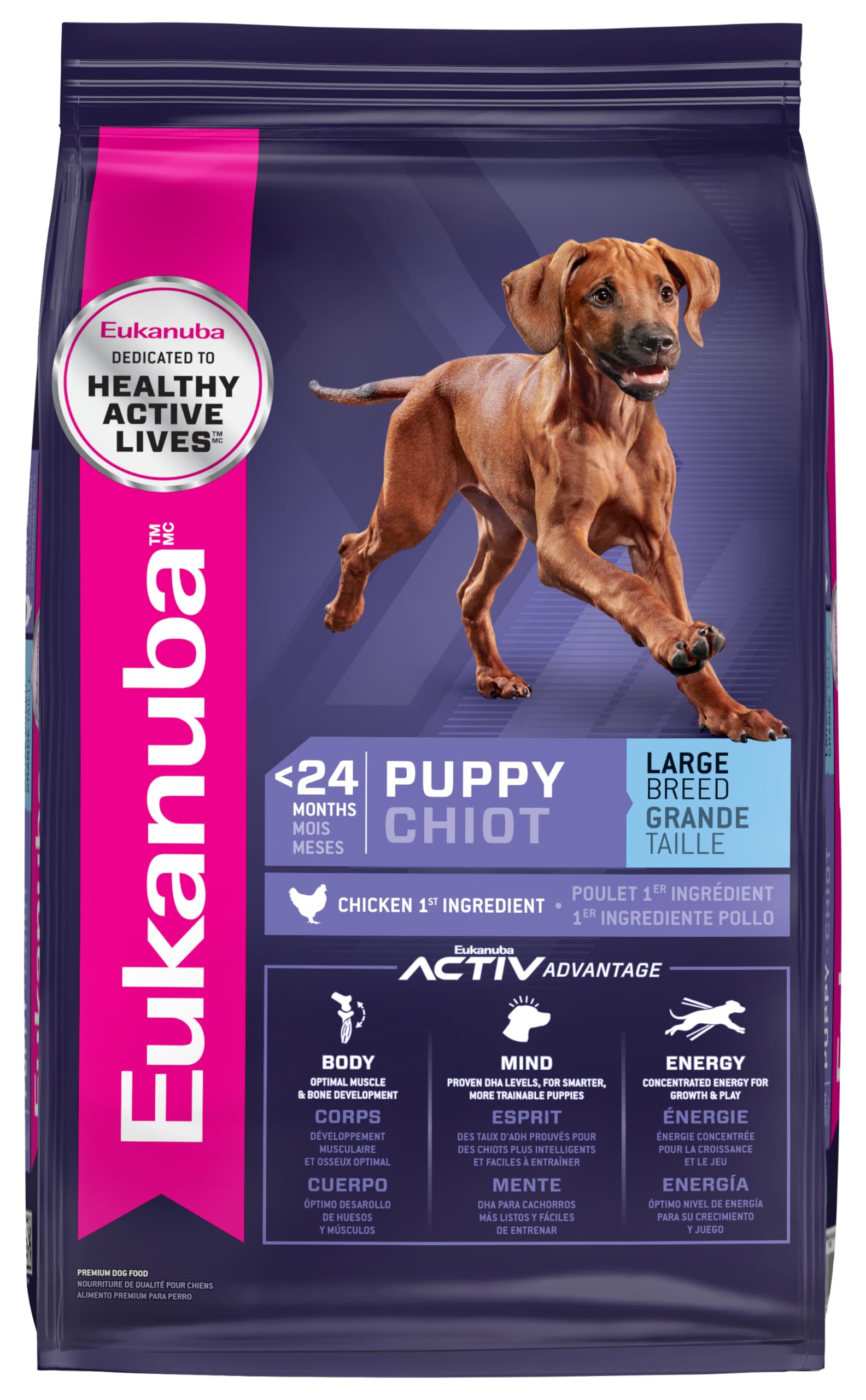Eukanuba Puppy Large Breed Dry Food 40 lb bag, ideal for growth and energy.