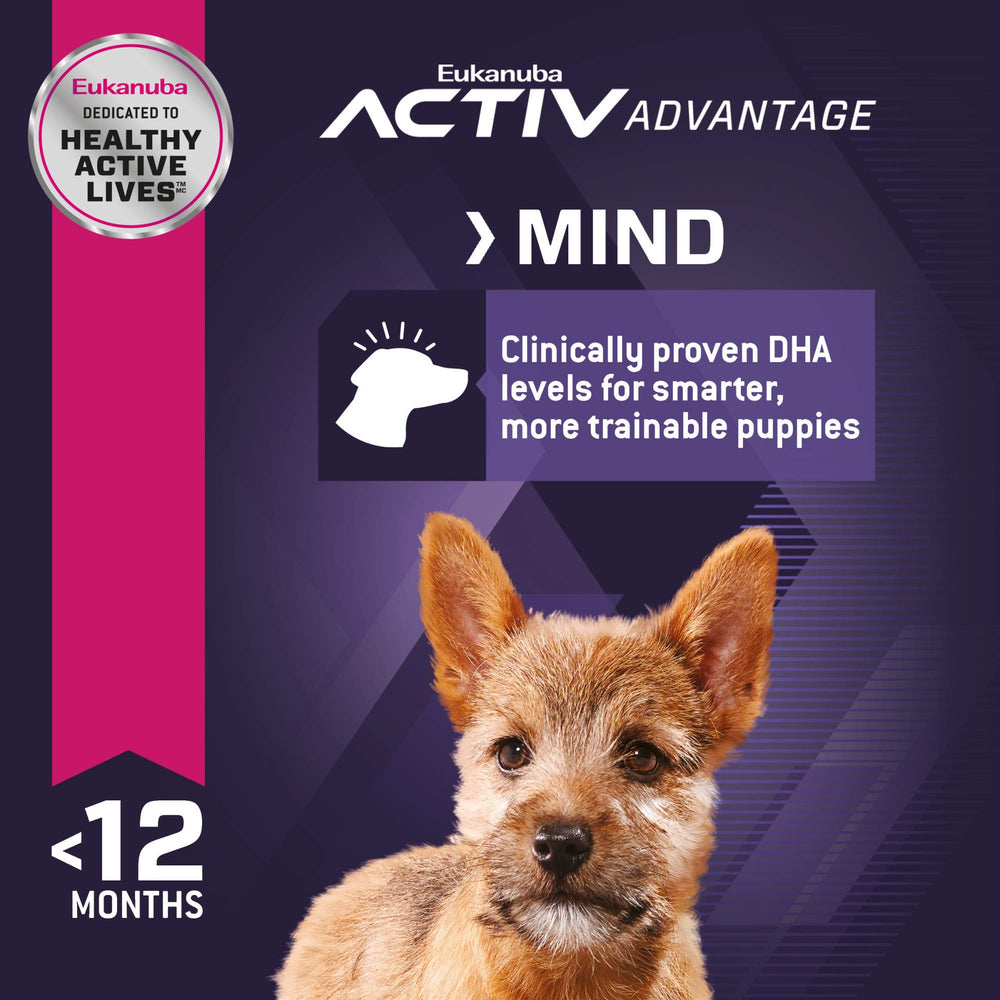 Eukanuba Puppy Small Breed kibble with DHA supports brain development