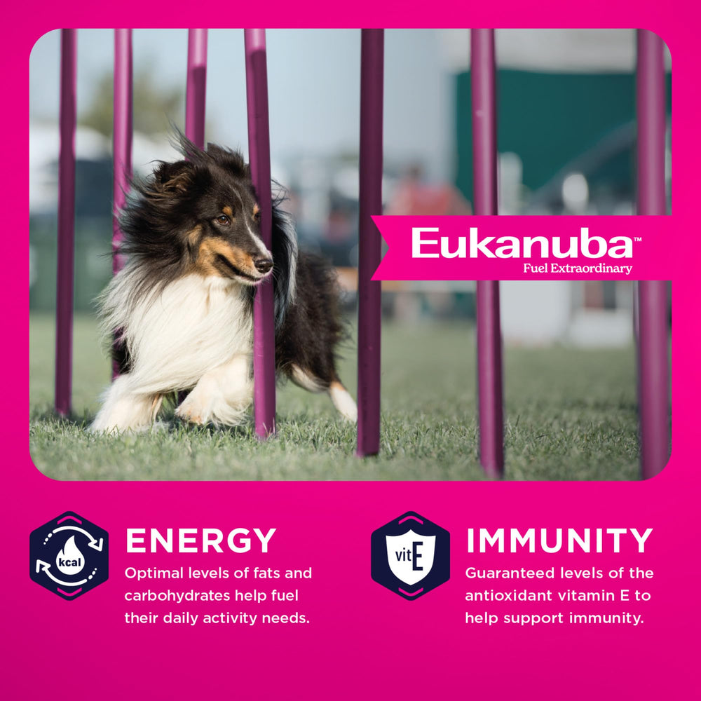 Eukanuba bag and serving bowl illustrating convenient daily feeding