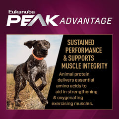 Eukanuba sport dog digestion support with prebiotics shown in bowl