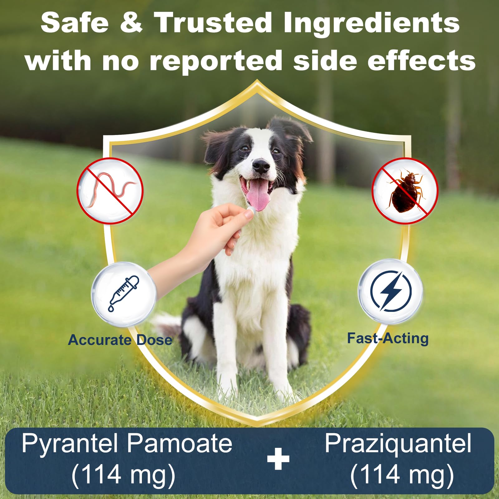 Euphea chewable beef flavor tablets ready for quick administration