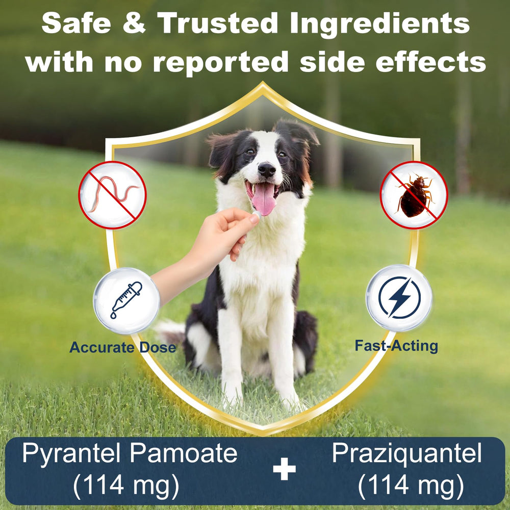 Euphea chewable beef flavor tablets ready for quick administration