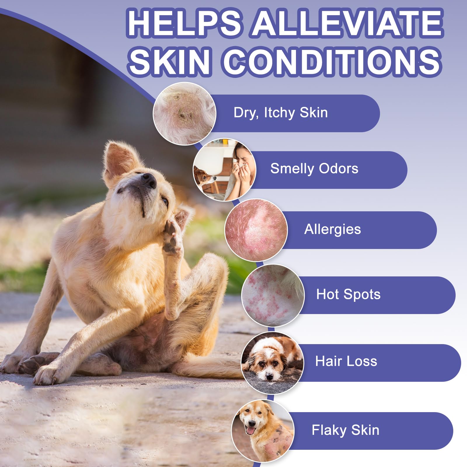 Euphea dog shampoo foamy lather close-up highlights thorough dirt and oil removal.