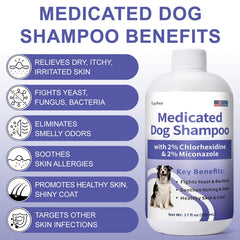 Euphea shampoo with green tea and honeysuckle extracts supports skin comfort.