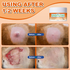Euphea Lime Sulfur Cream coat-area application supports regrowth.