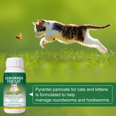 Euphea pyrantel suspension texture: palatable liquid cats accept for worm relief.