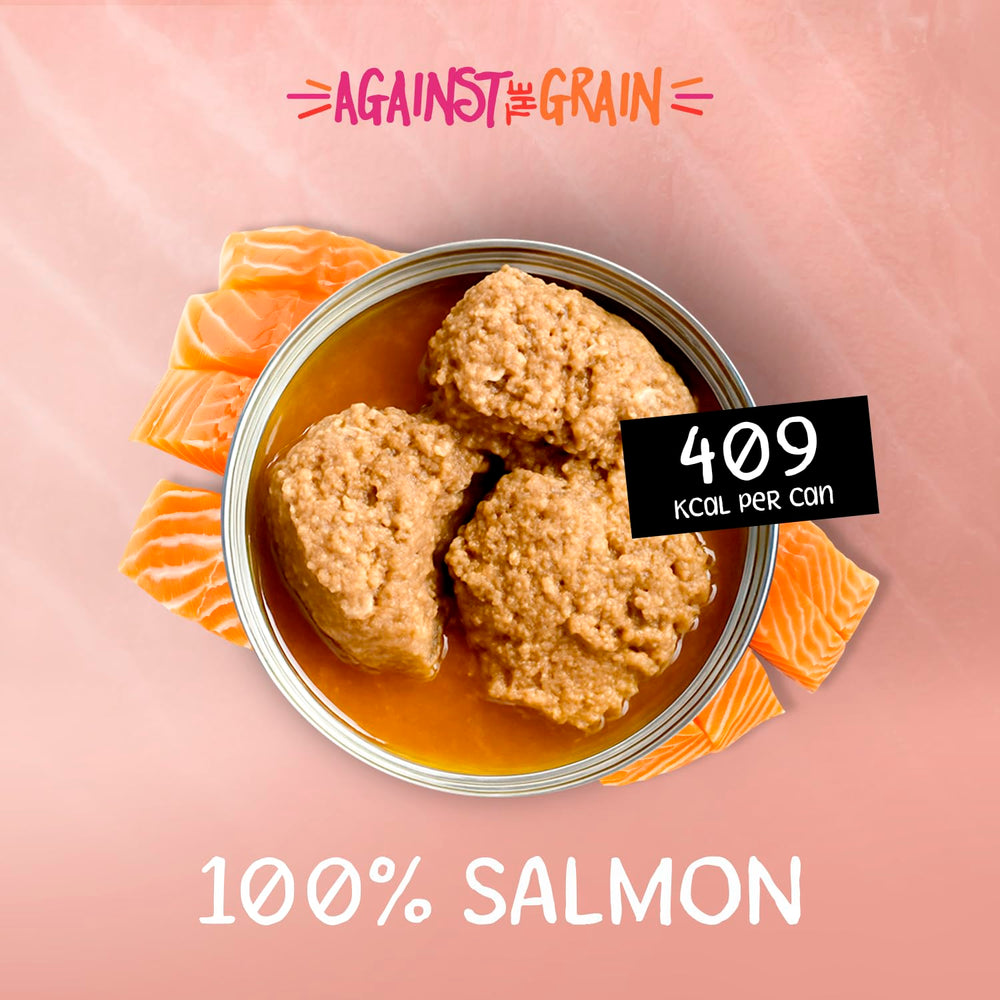 Dog happily eats Evanger's salmon meal as complete dinner