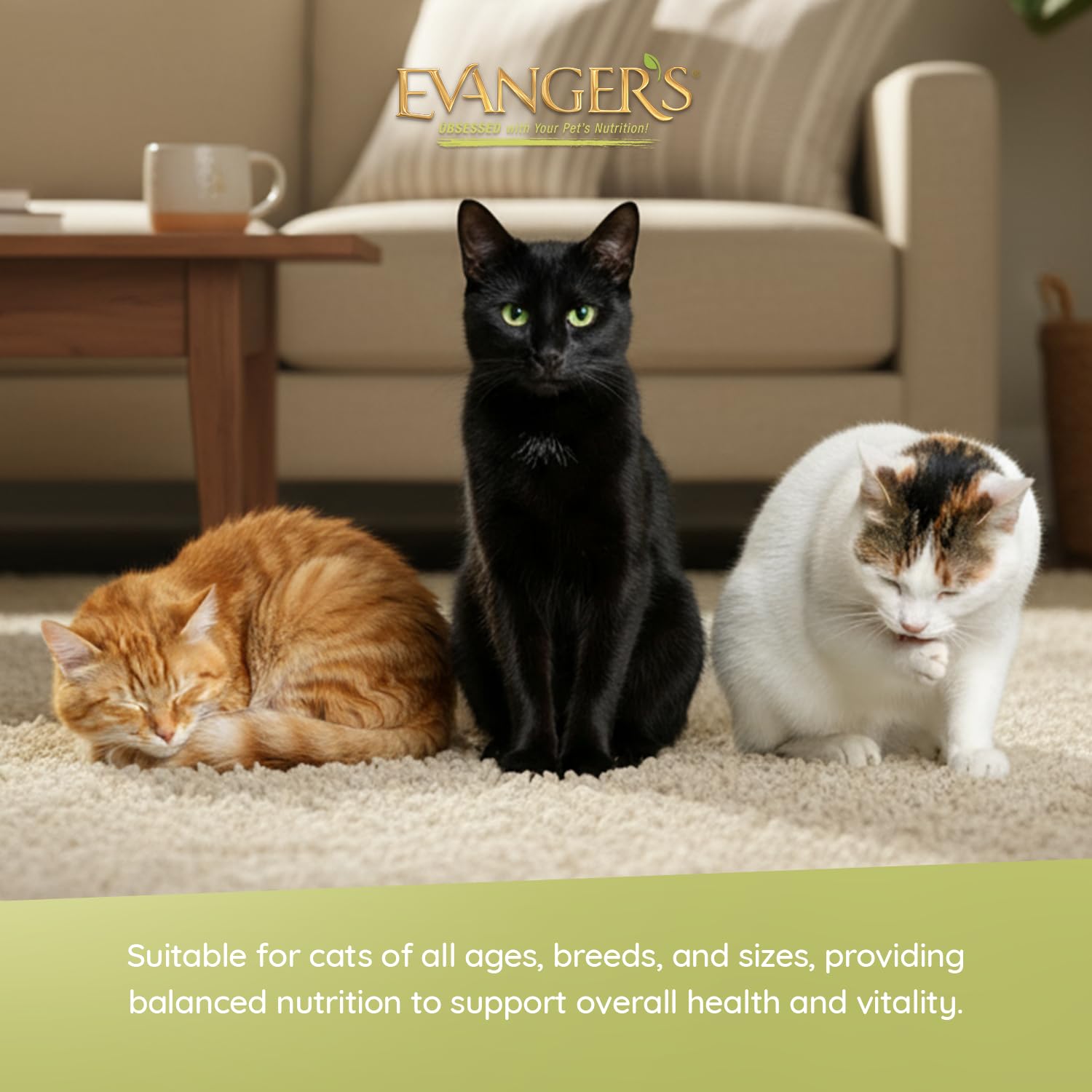 Complete and balanced nutrition for all life stages from Evanger's Goin' Fishin' Dinner.