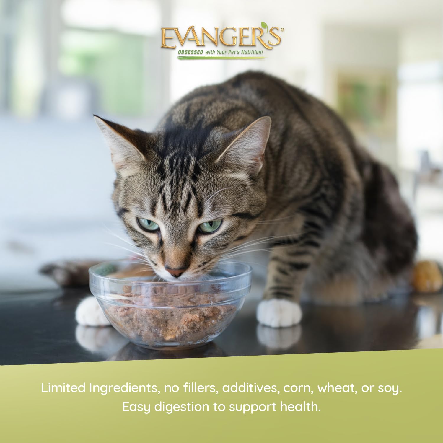 Close-up of Evanger's Goin' Fishin' Dinner loaf texture, easy serving for picky cats.