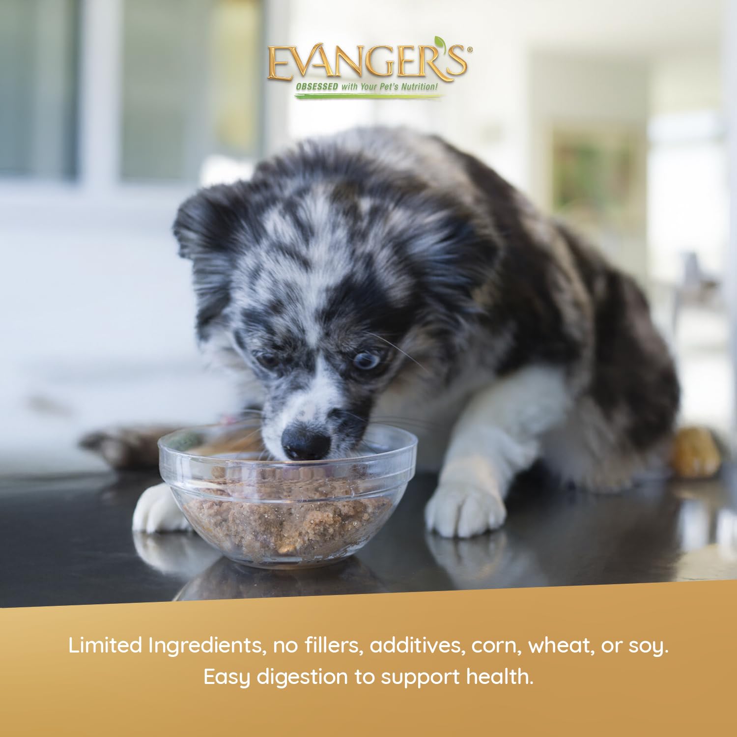 Evanger's Heritage chicken meat close-up highlighting simple, meat-based nutrition for sensitive pets