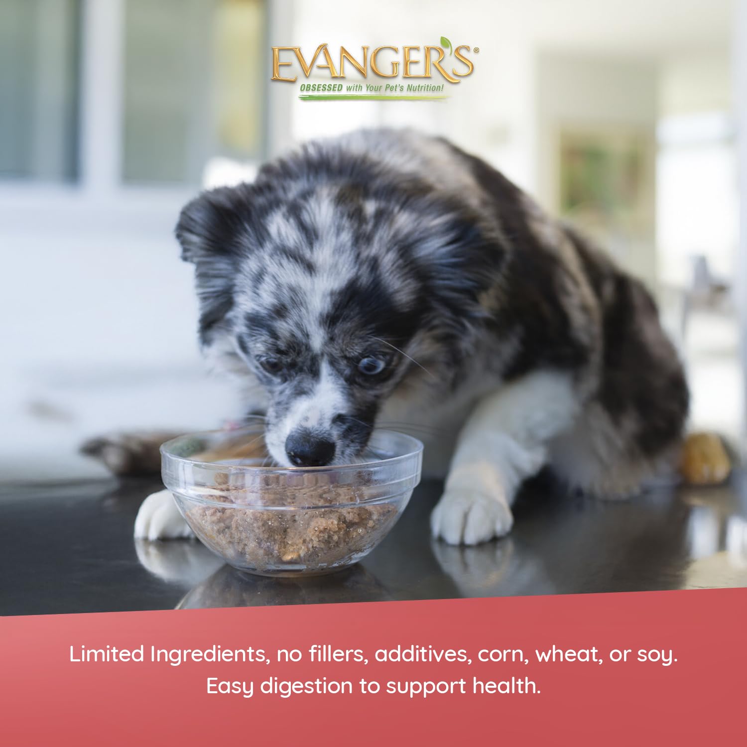 Ingredient list of Evanger's Heritage Classic Lamb & Rice Dinner showing grain-free formula.