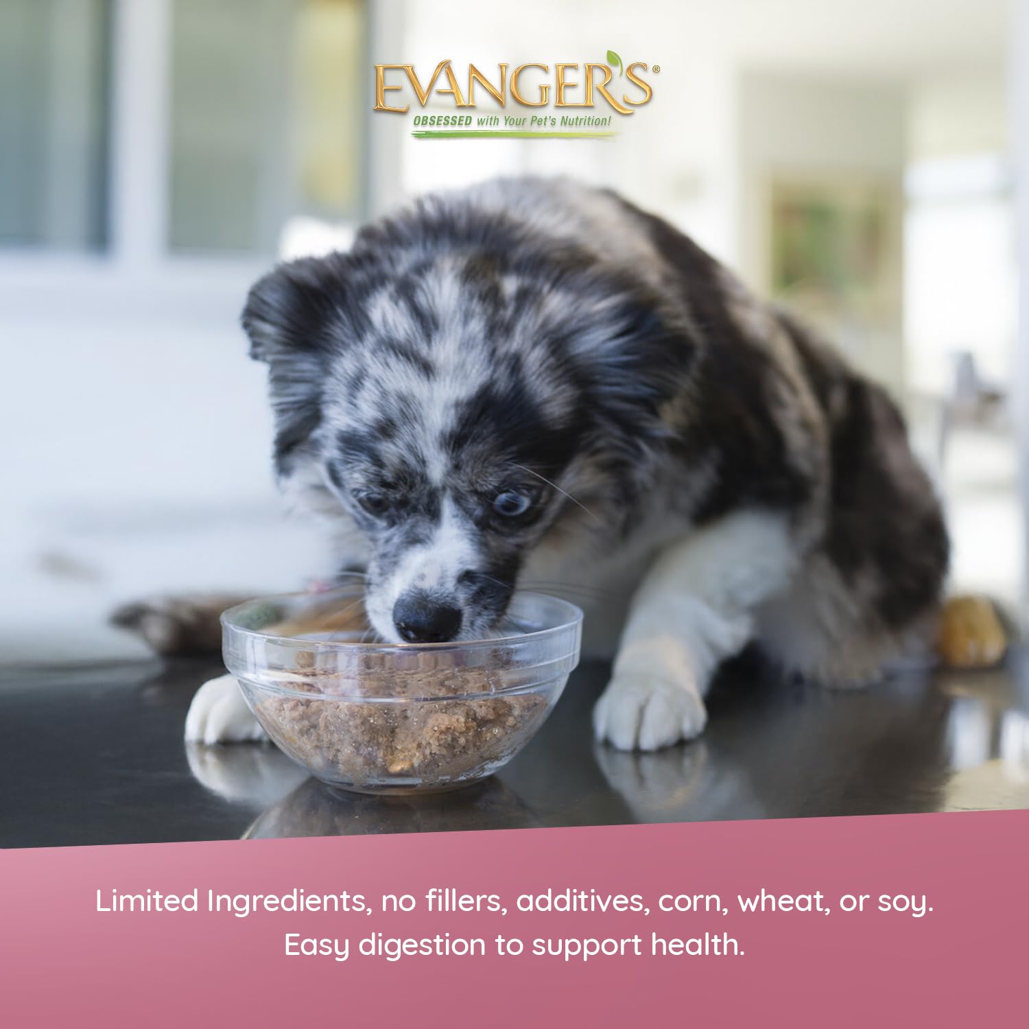 Senior-friendly Evanger's chicken loaf serving idea for all life stages.