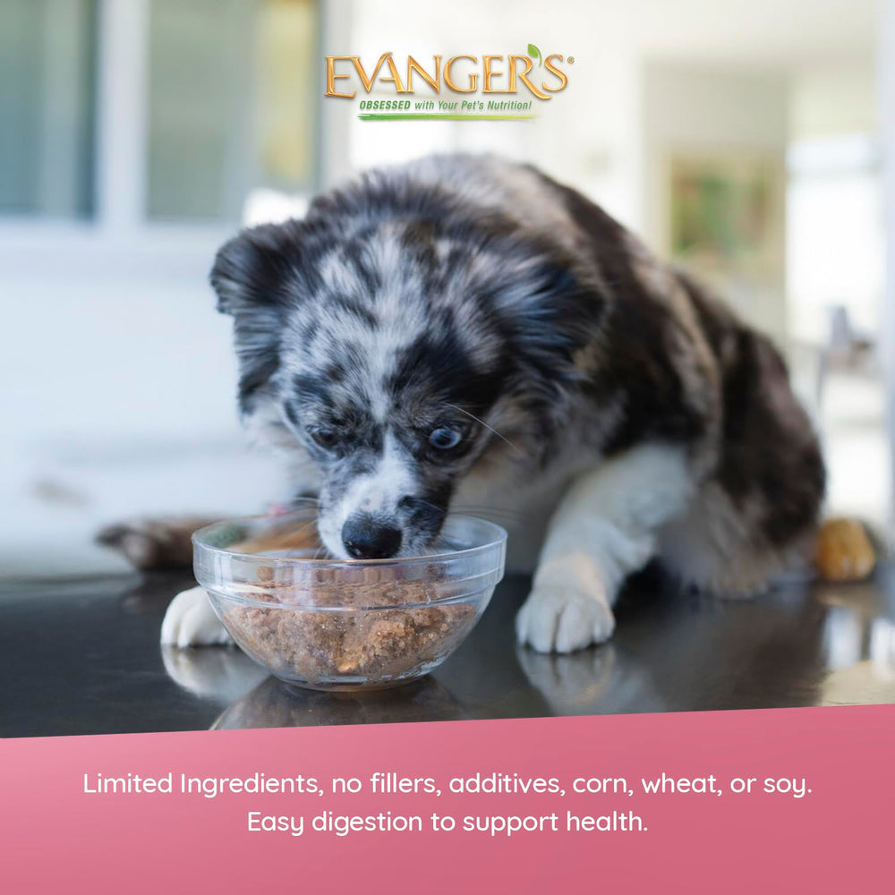 Senior-friendly Evanger's chicken loaf serving idea for all life stages.