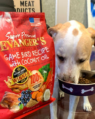 Evanger's gamebird meals offer a gentle, easily digestible nutrition base.