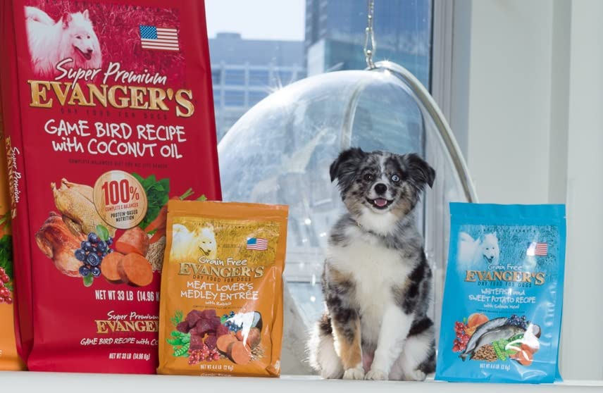 Evanger's coconut oil recipe supports coat shine and overall vitality.