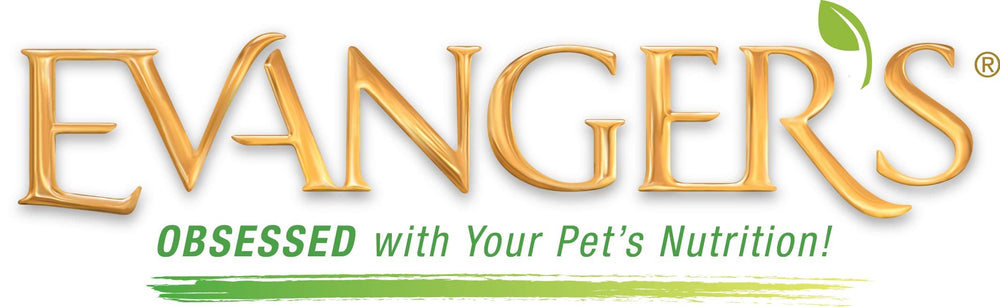 Evanger's Salmon Complements served in bowl shows moist texture for easy feeding