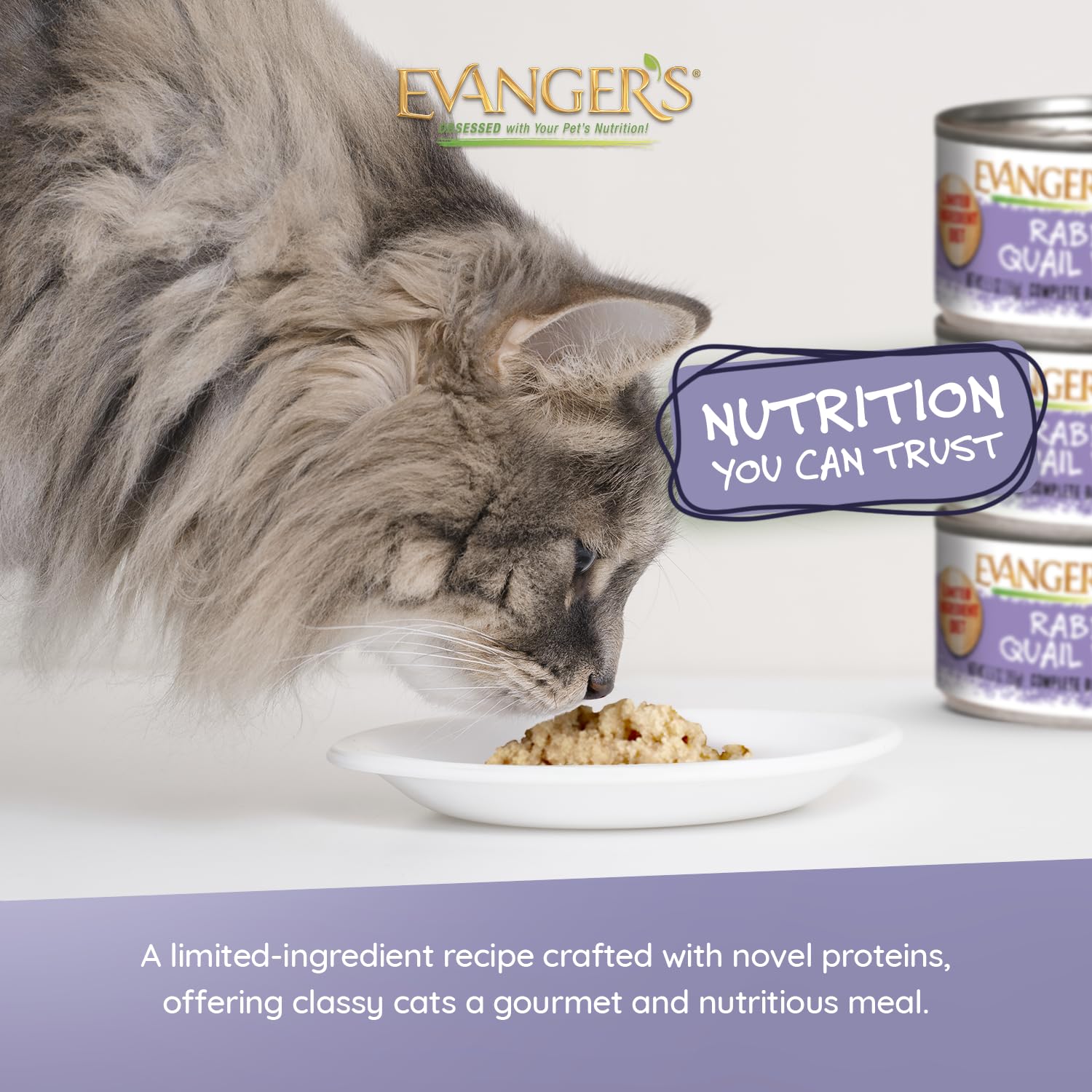 Evanger's ingredient panel emphasizes limited ingredients and absence of chicken or gluten