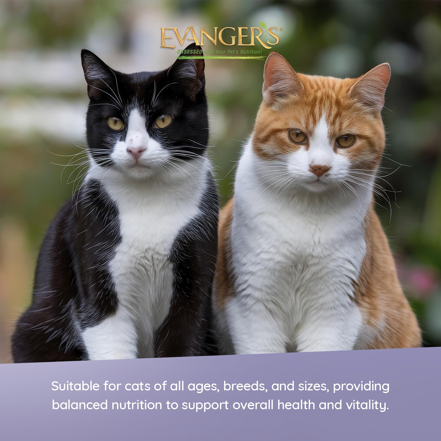 USA-made Evanger's product image with domestic sourcing message
