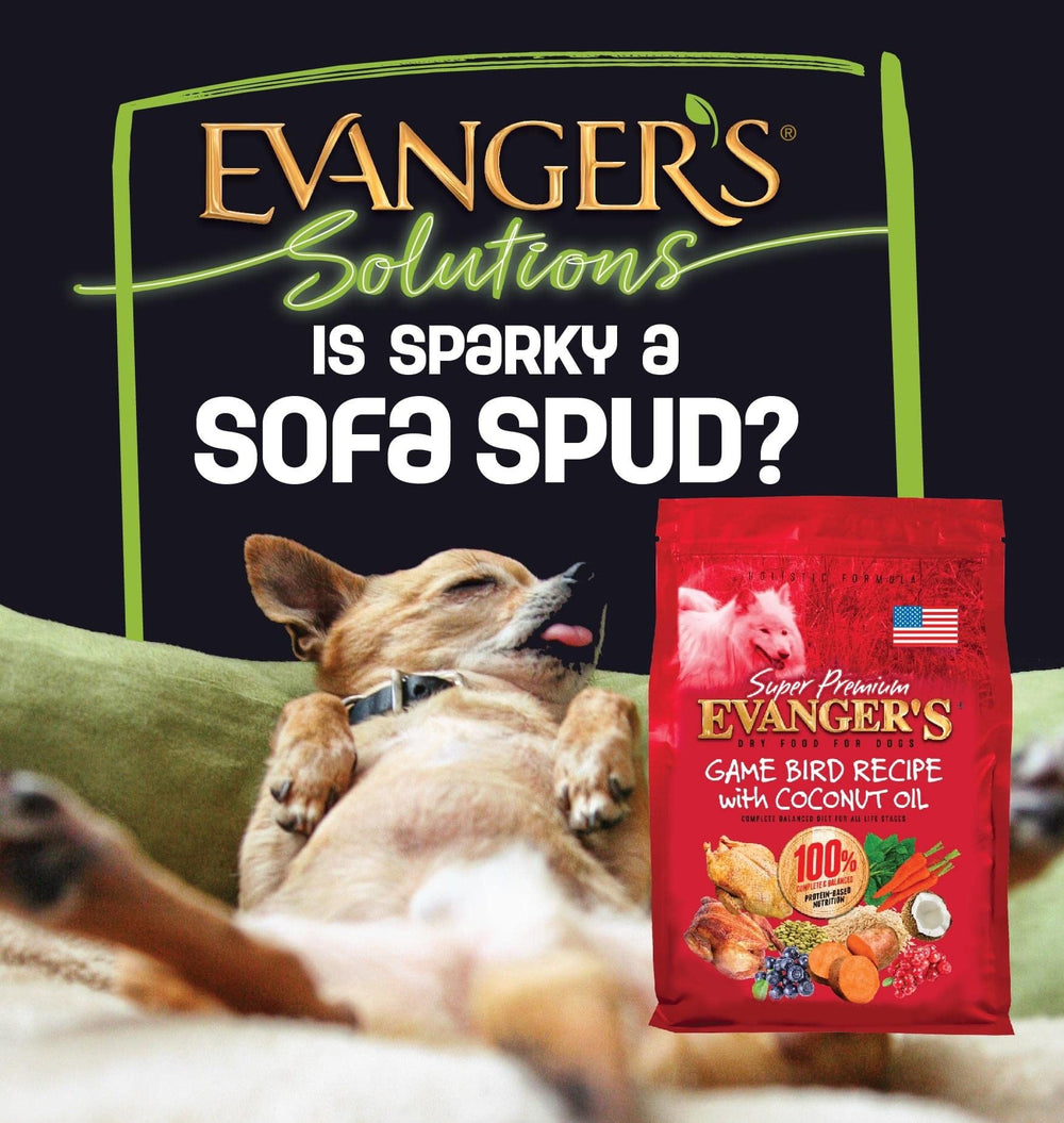 Evanger's uses AAFCO-balanced nutrition across all life stages.