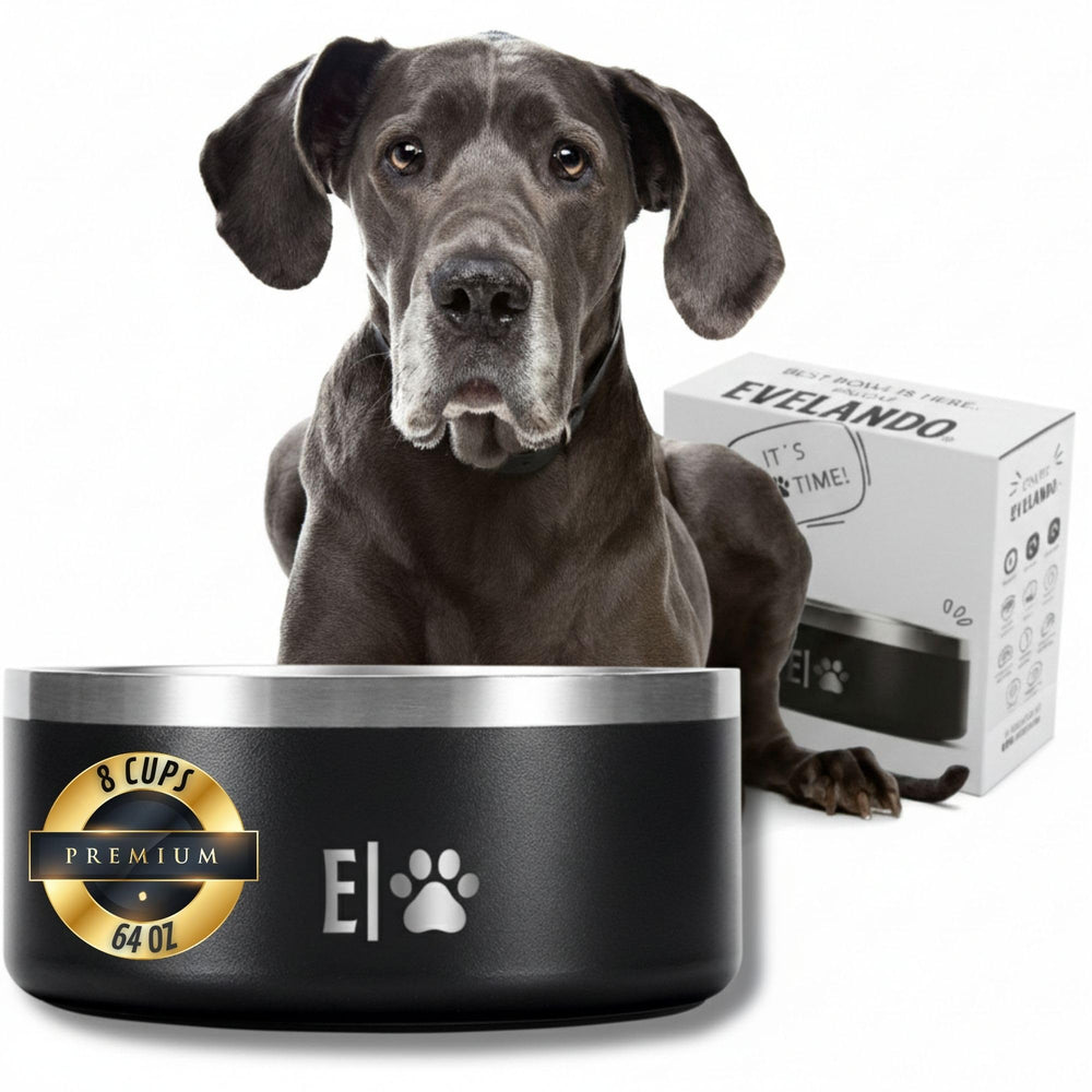 EVELANDO 64oz dog bowl front view highlighting ample capacity for large dogs.