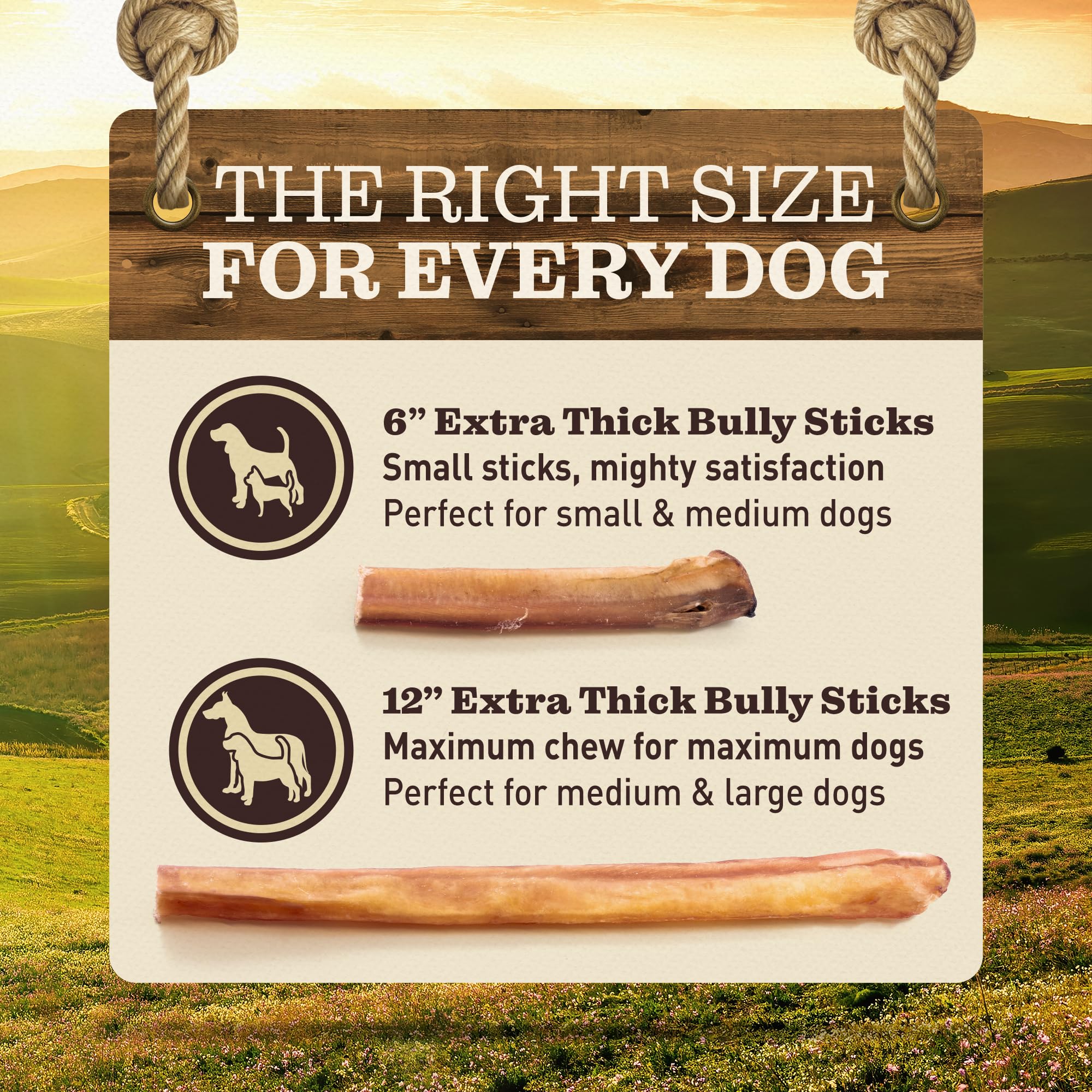 EVER FARM bully sticks 5-pack serving idea, dog enjoying a long chew during playtime