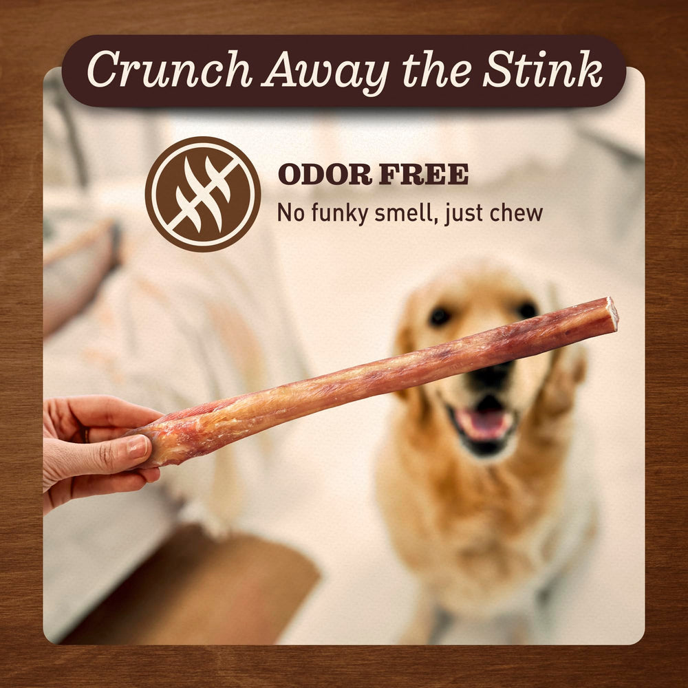 EVER FARM bully sticks grain-free shot, single-ingredient option for clean ingredient labeling