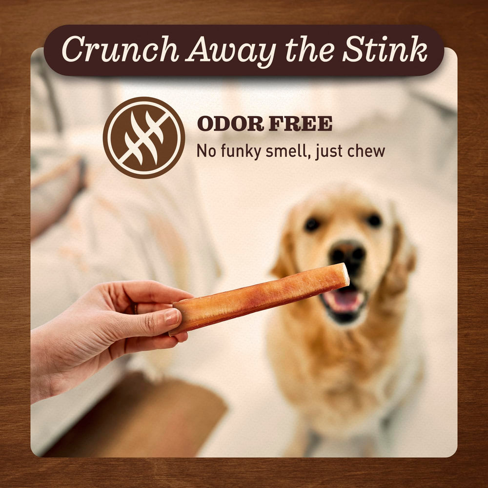 EVER FARM grain-free, high-protein bully stick ideal for aggressive chewers