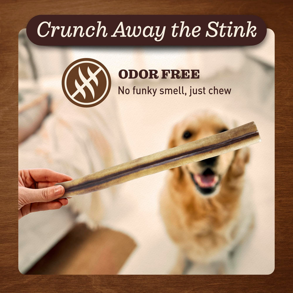 EVER FARM Mega Bully Sticks natural ingredients label highlights grass-fed beef.