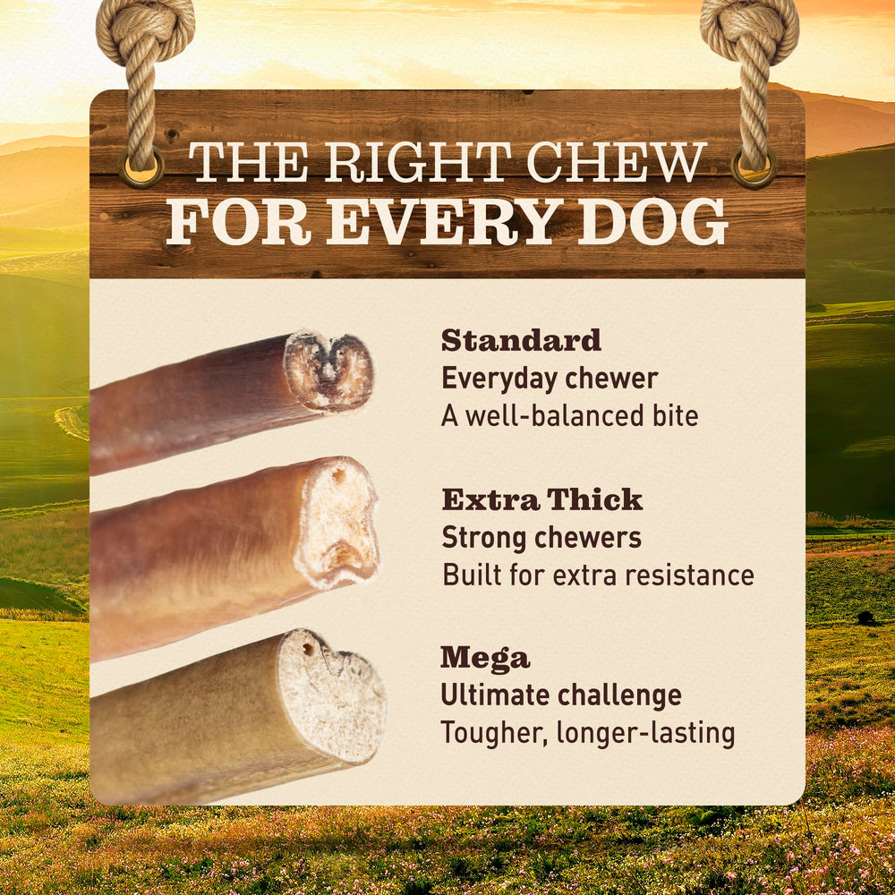 EVER FARM Mega Bully Sticks packaging emphasizes hormone-free, chemical-free nutrition.
