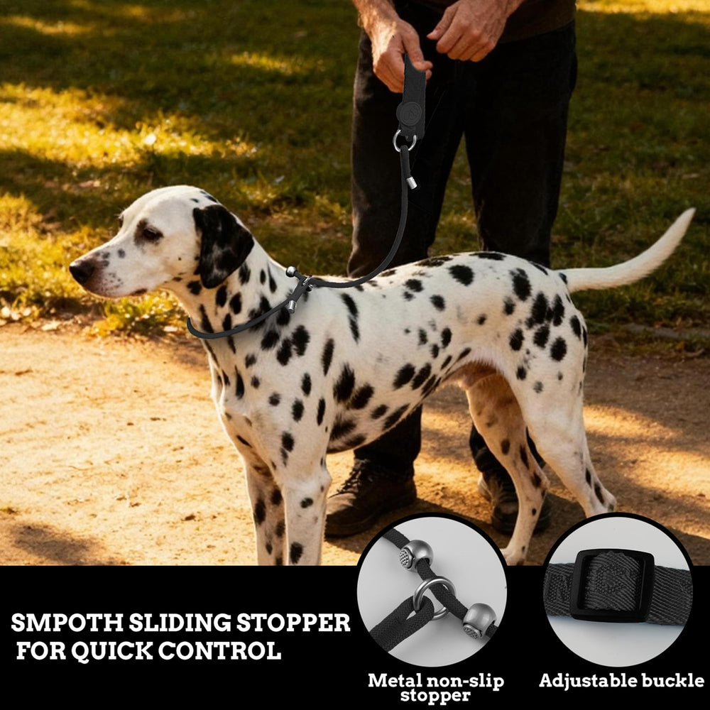 EverKing metal-buckle-clasp provides secure attachment for confident control.