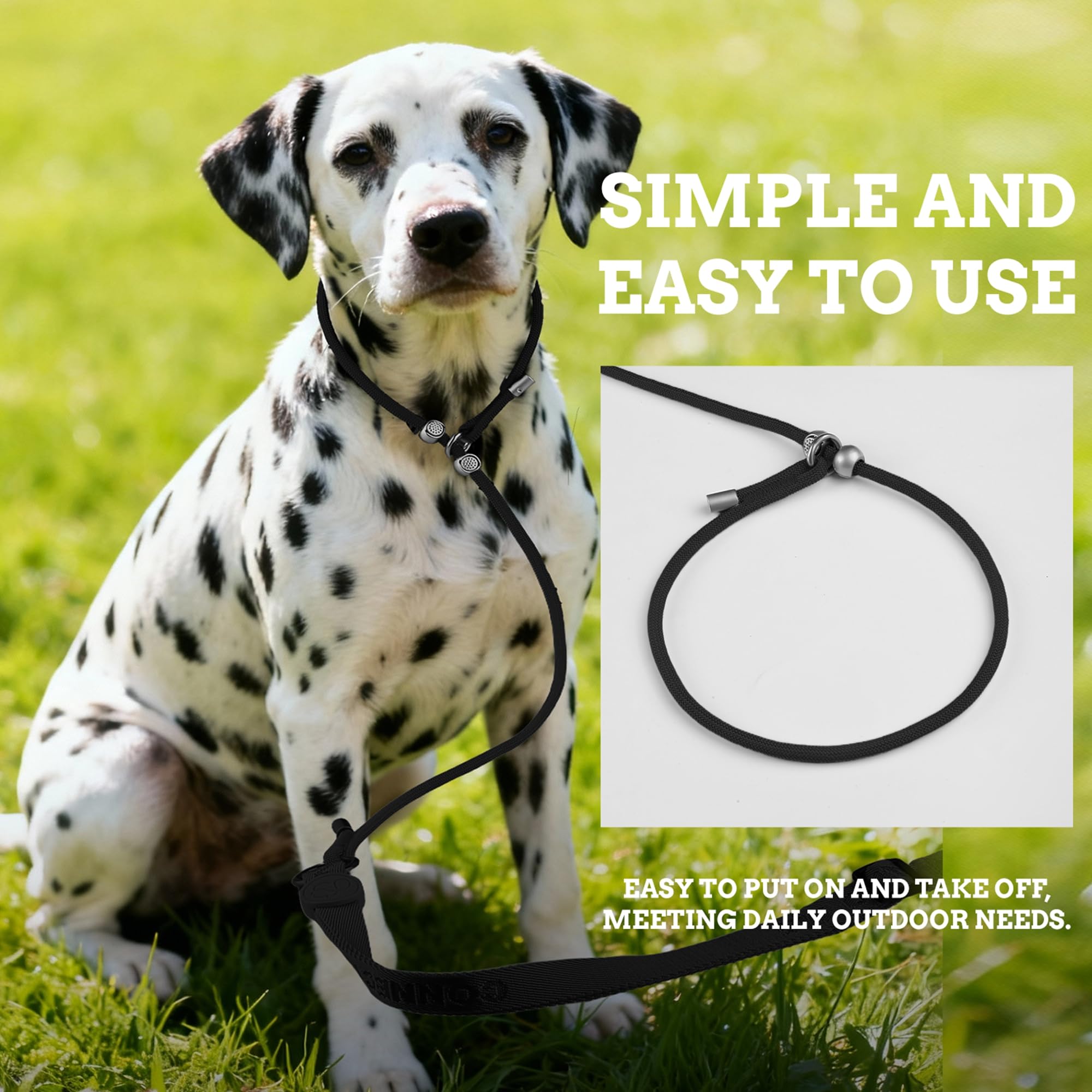 EverKing reinforced-nylon-construction ensures long-lasting performance for active dogs.