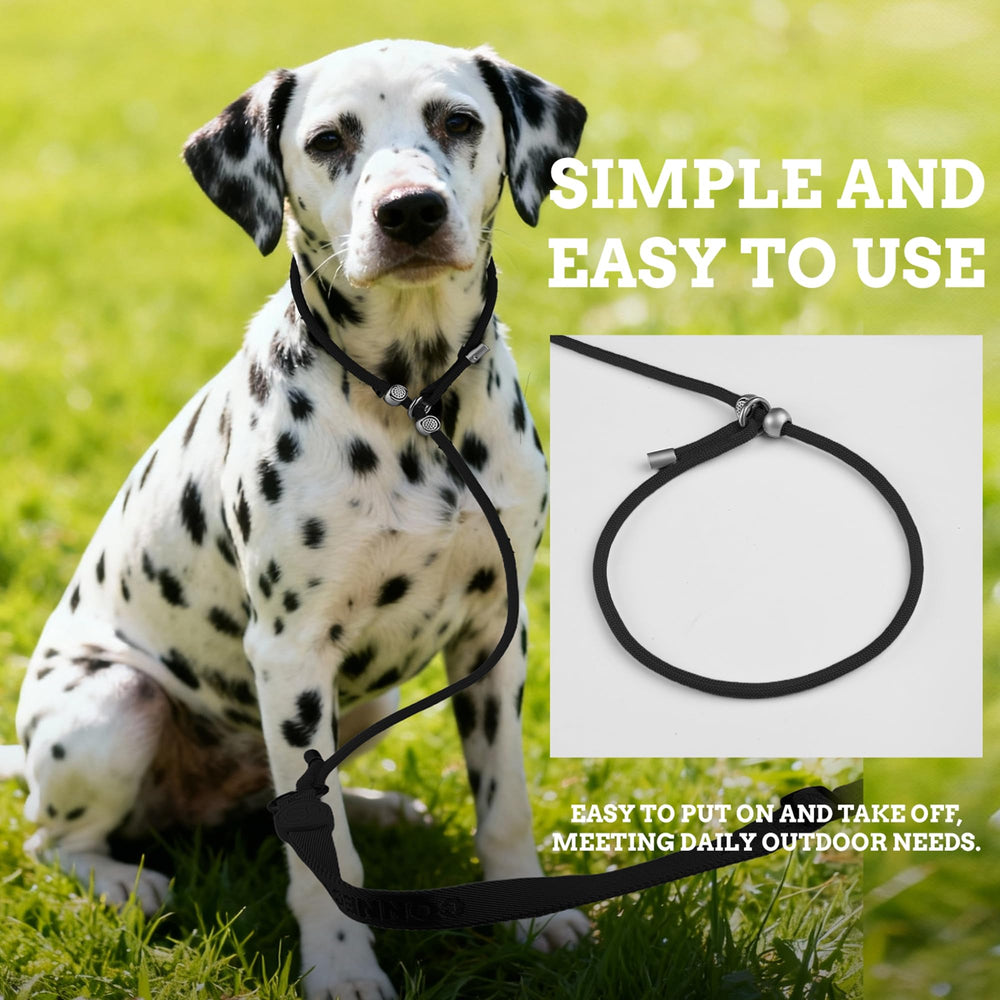 EverKing reinforced-nylon-construction ensures long-lasting performance for active dogs.