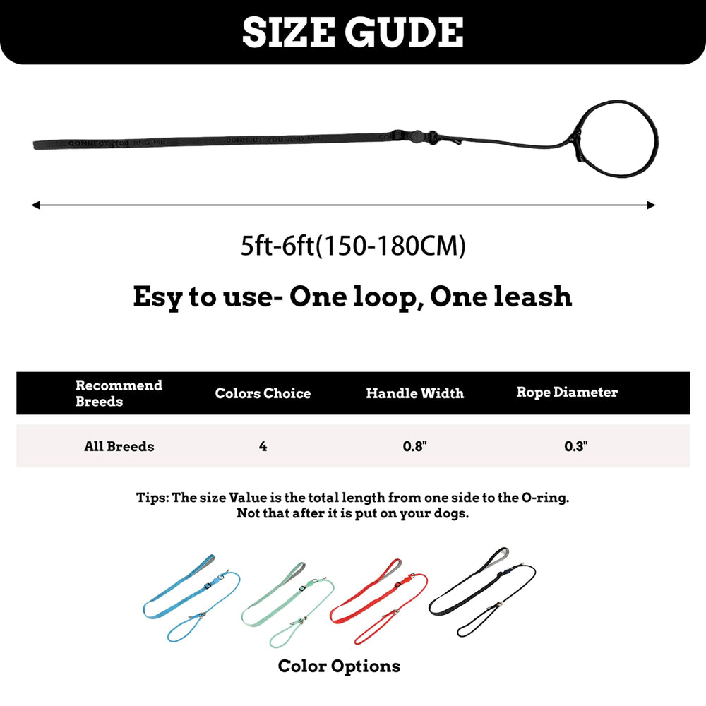 EverKing ideal-for-walking-training leash supports calm pacing during outdoor adventures.