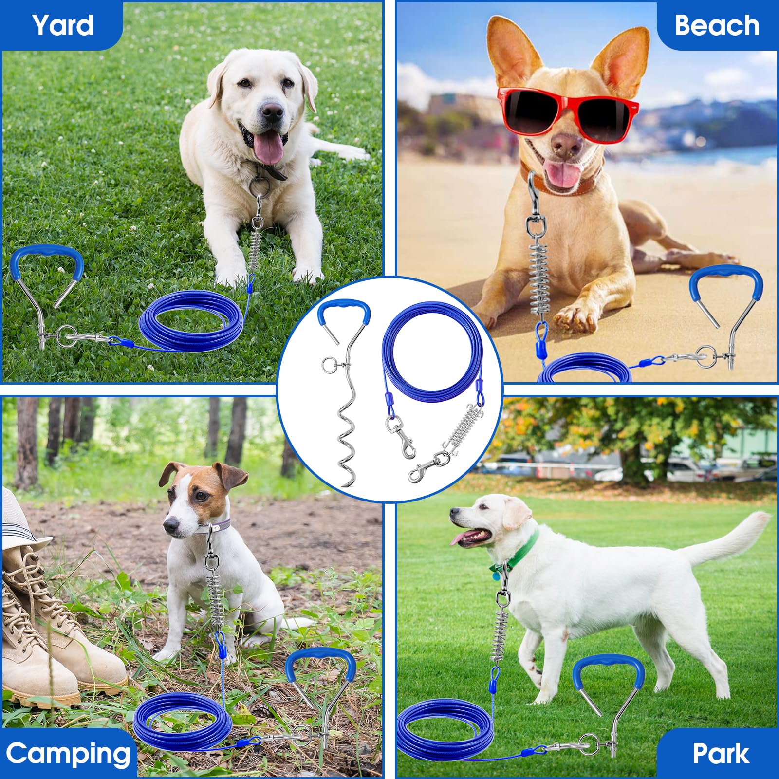 Evilplan complete tie-out kit lets dogs roam safely in parks and yards.