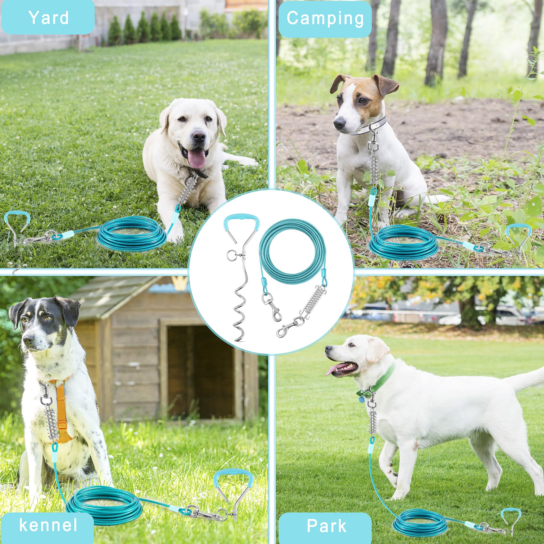 Evilplan outdoor dog run setup enabling safe roaming outdoors.