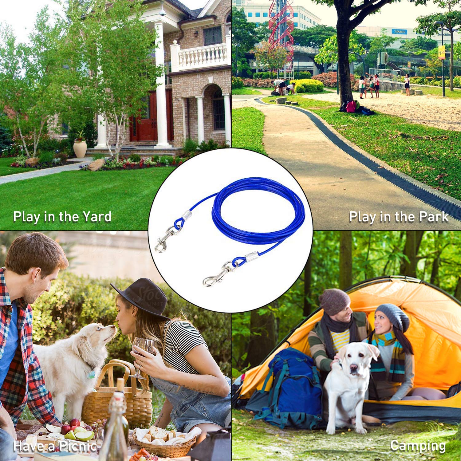 Evilplan outdoor dog safety system supports supervised yard time.