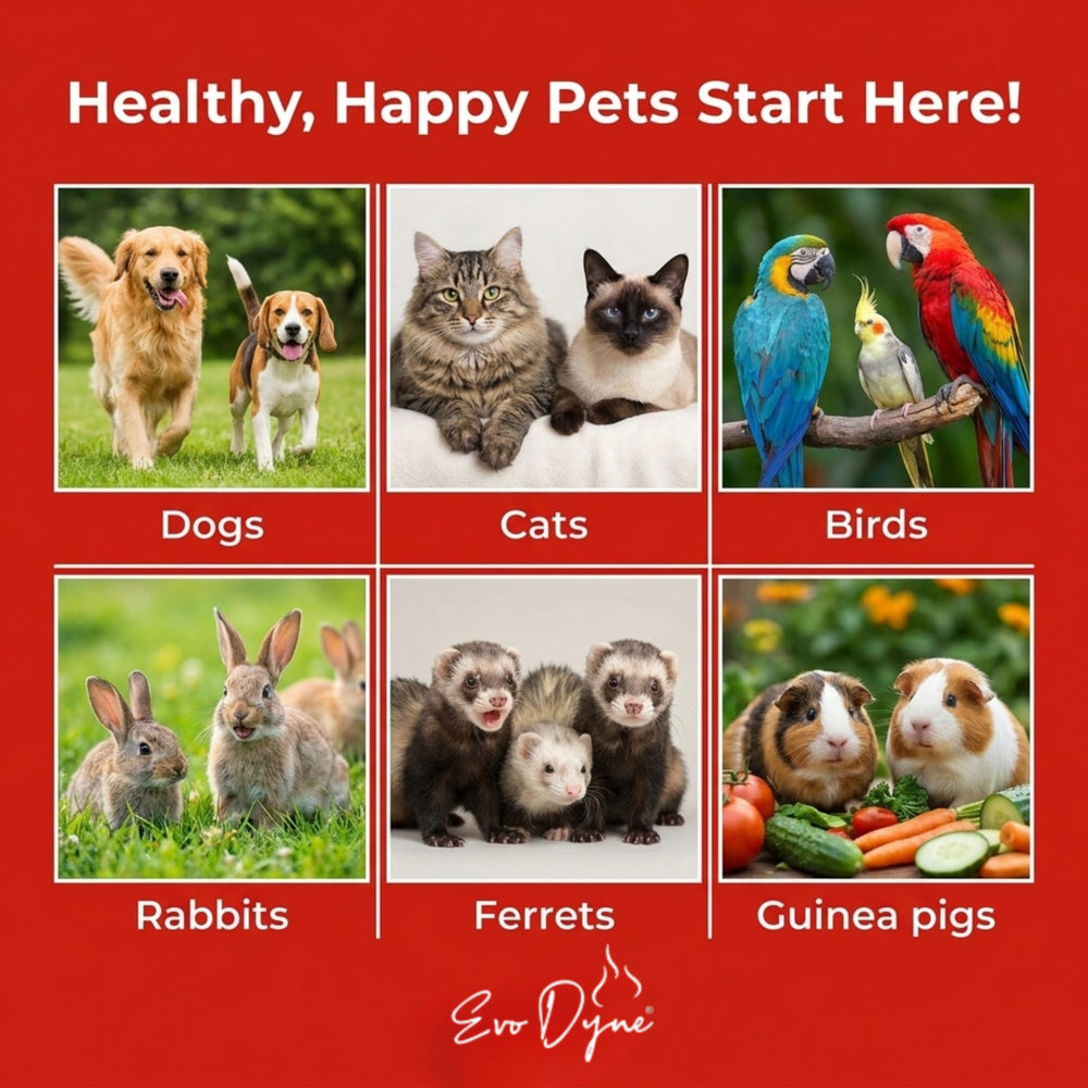 Evo Dyne Styptic Powder pet-safe-ingredients formulated in the USA.