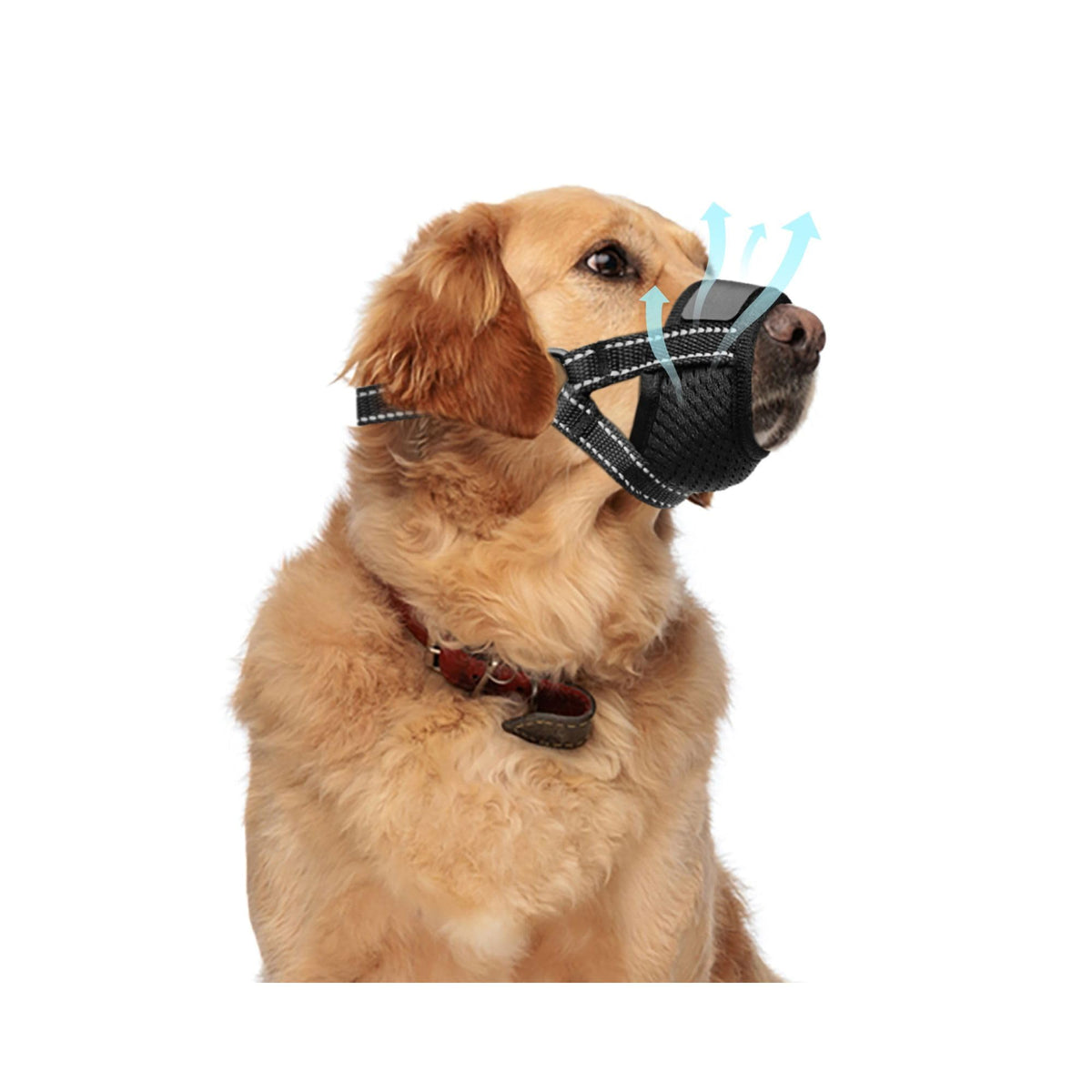 Evollax breathable mesh dog muzzle designed for large dogs with enhanced airflow and comfort.
