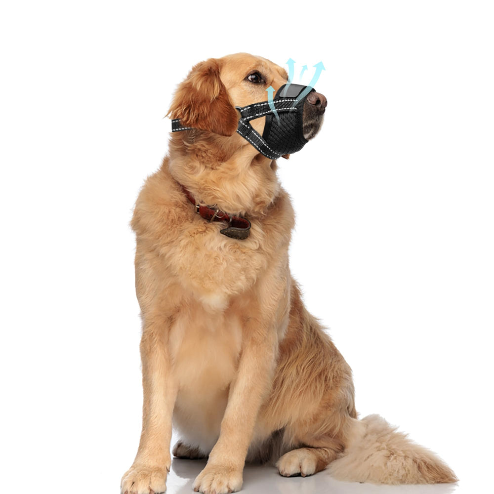 Evollax grooming and travel muzzle supports calm, safe experiences during handling and trips.