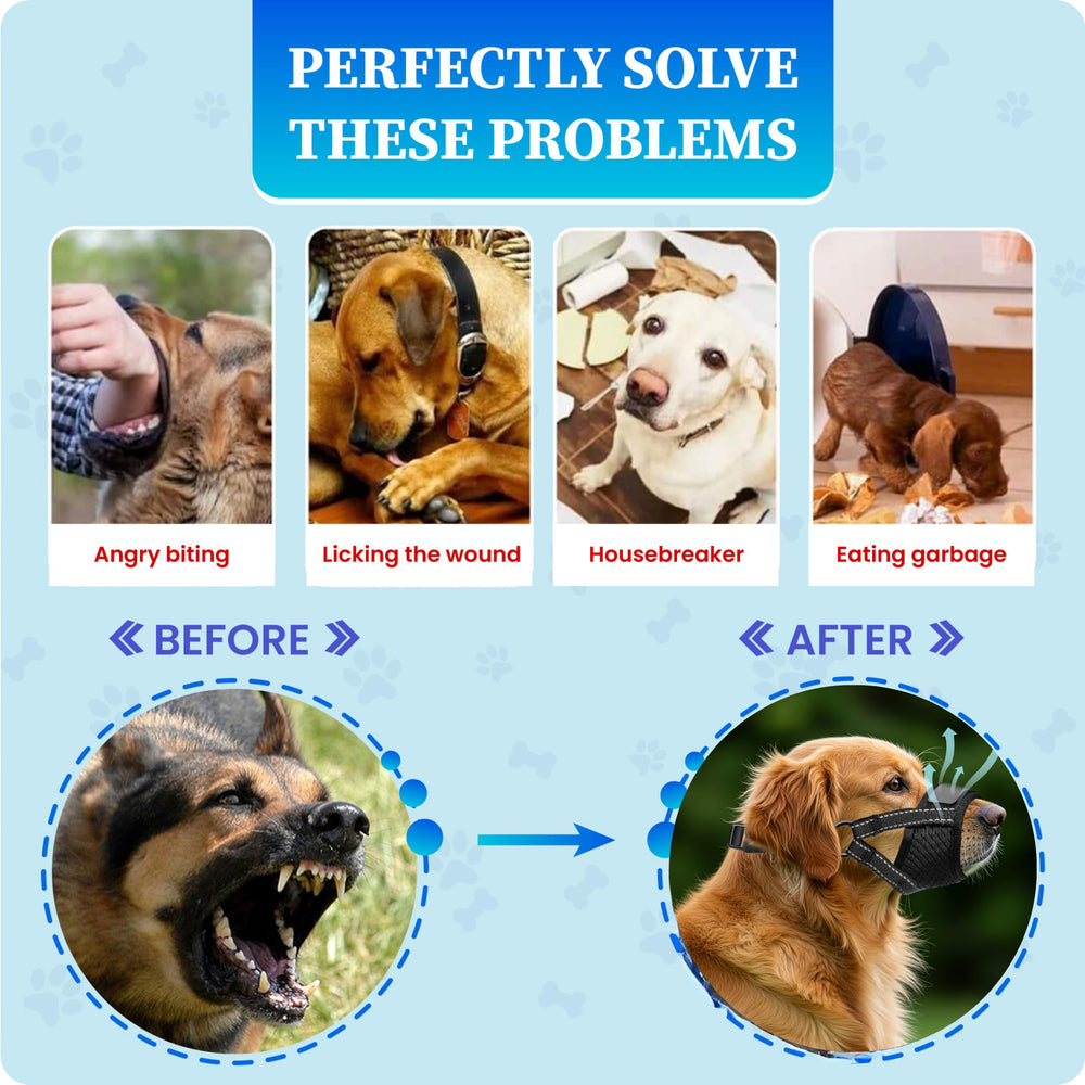Evollax no-bark muzzle helps manage barking and mouth safety during routines.