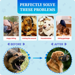 Evollax no-bark muzzle helps manage barking and mouth safety during routines.
