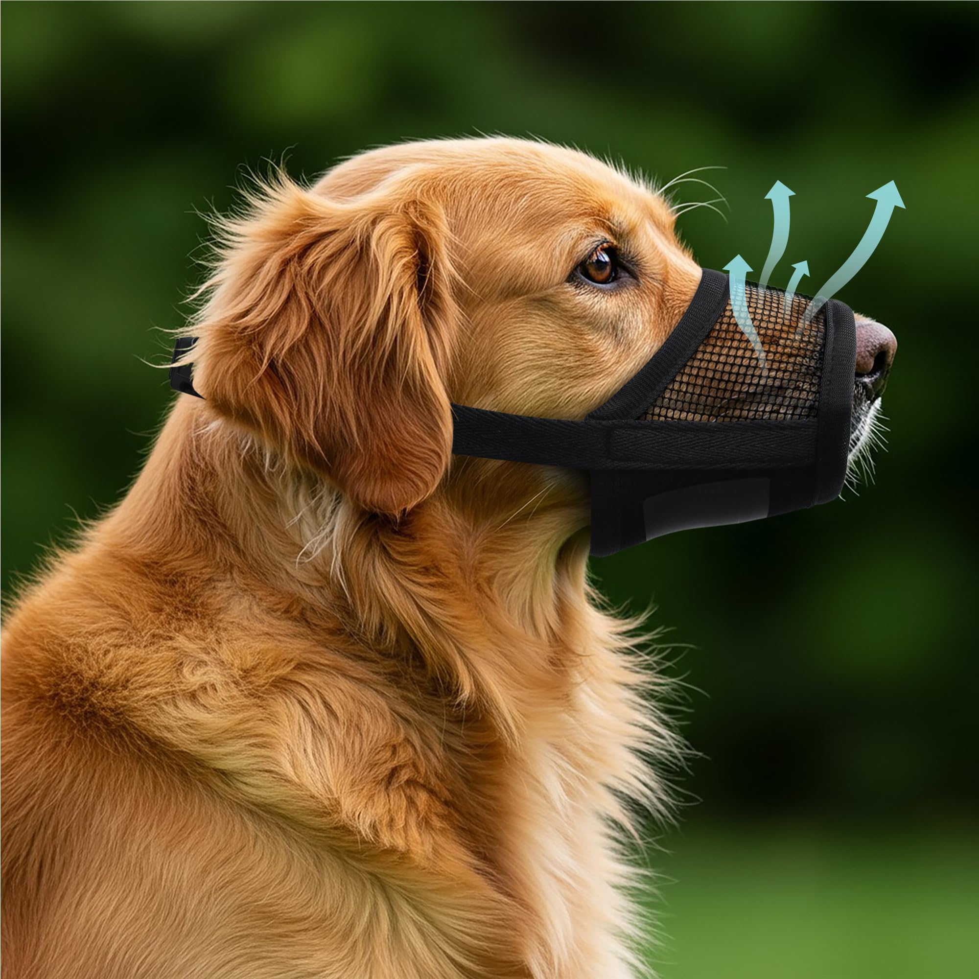 Evollax XL muzzle with air mesh for cool, comfortable wear