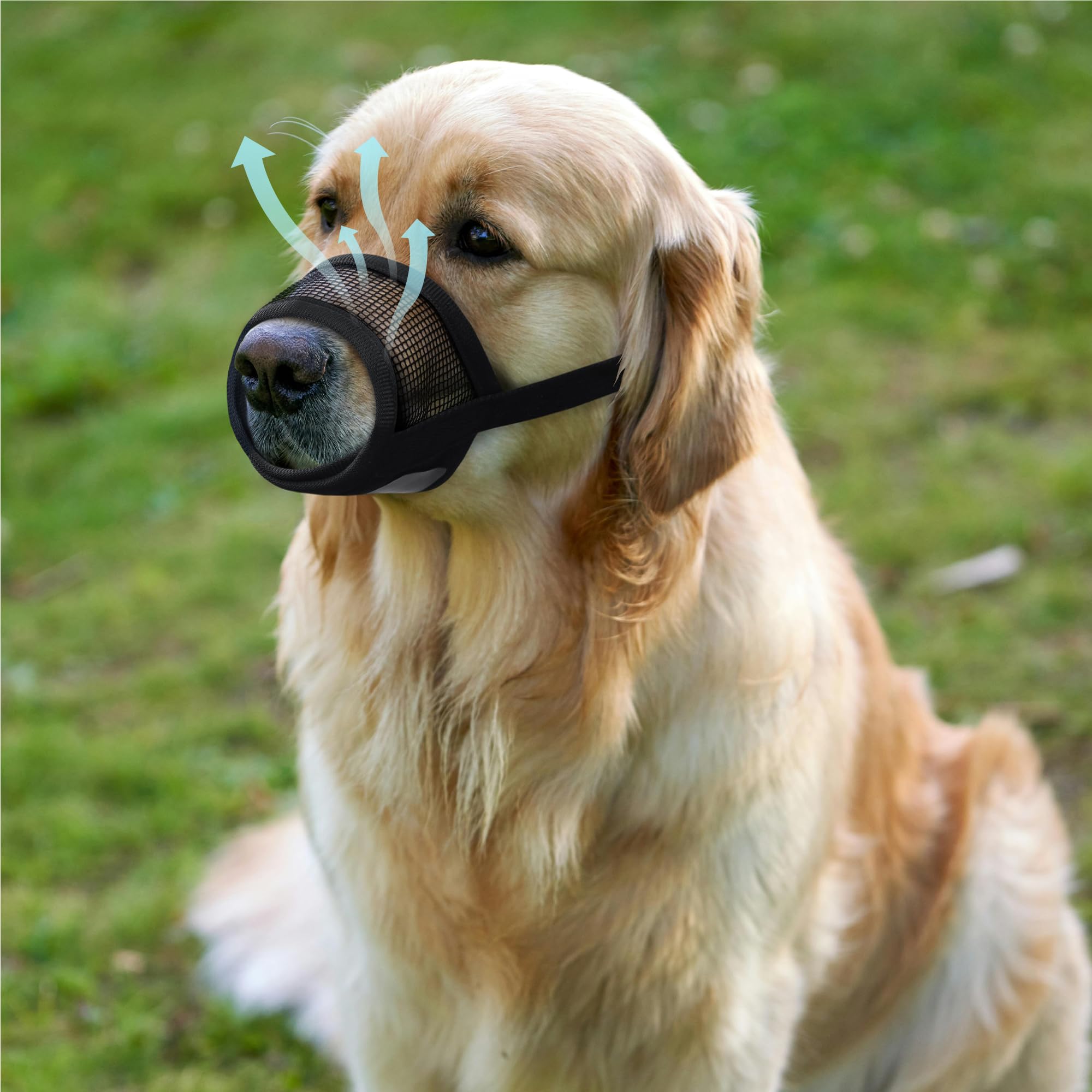 Evollax XL muzzle close-up of breathable mesh for comfort