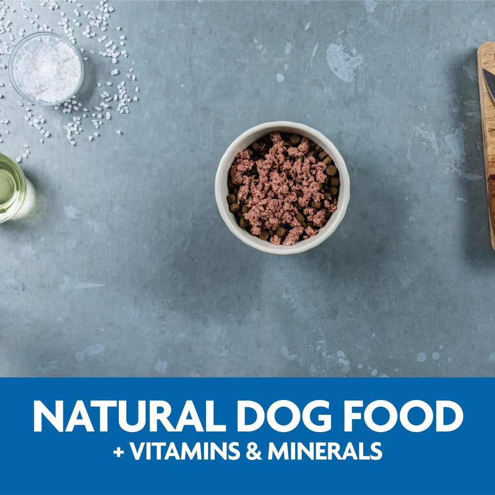 Dog eating with a content expression after a nourishing meal