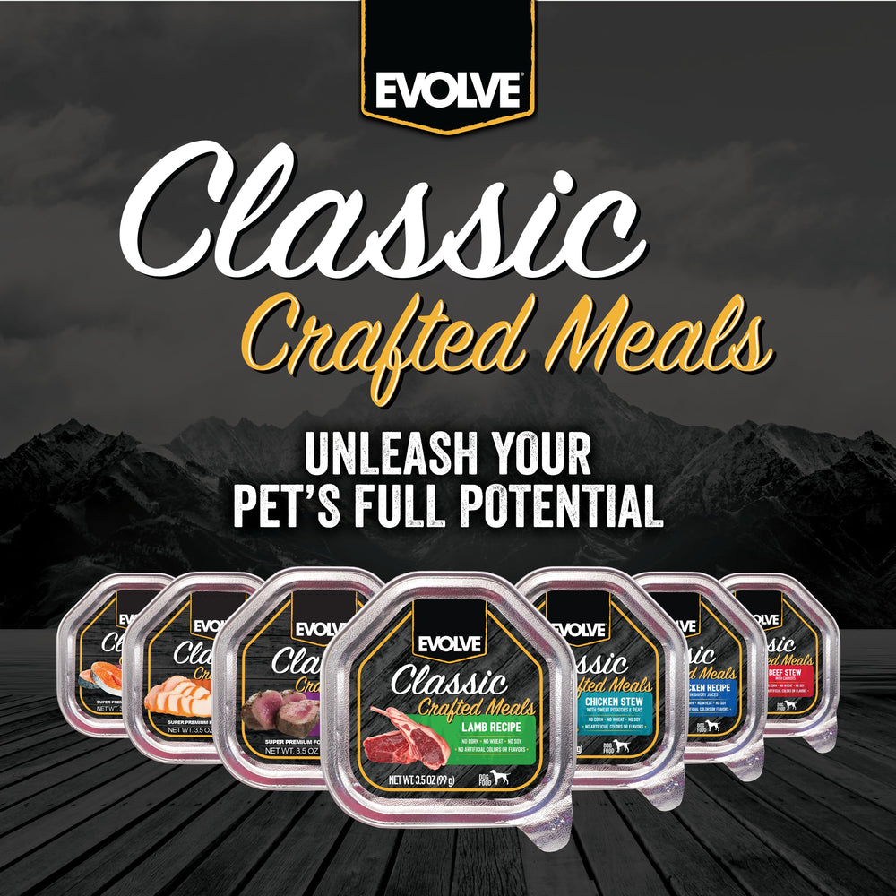 Happy dog enjoys Evolve Classic Lamb Wet Dog Food at dinner.