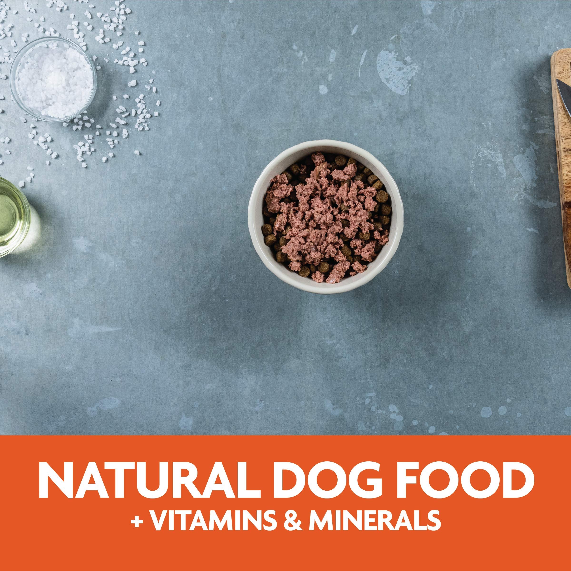 Evolve Classic Turkey Recipe serving suggestion for dogs